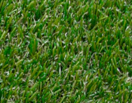 Samur - Super Riviera