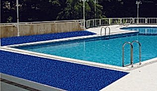 Kıvırcık Paspas -2