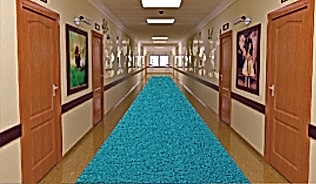 Kıvırcık Paspas -3