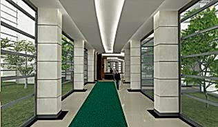 Kıvırcık Paspas -4