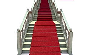 Kıvırcık Paspas -6