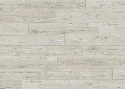 33704 Maremma Eski Meşe